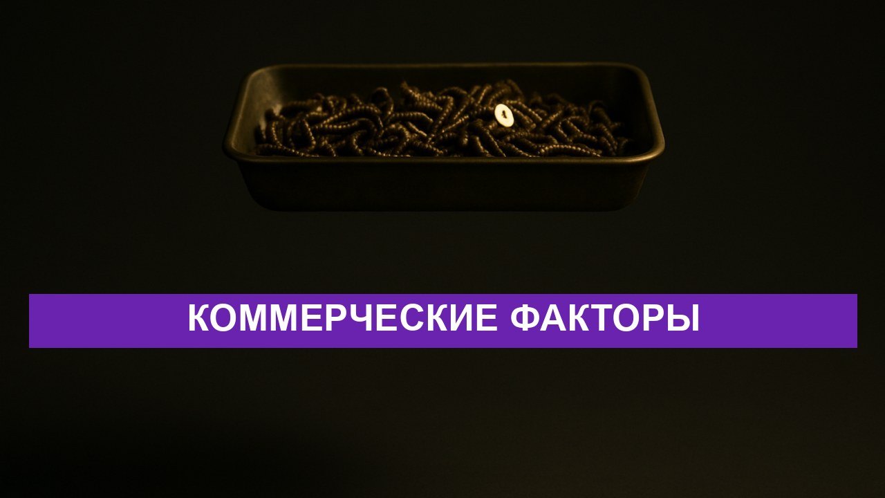 Коммерческие факторы: 40 мелочей, которые решают в выдаче